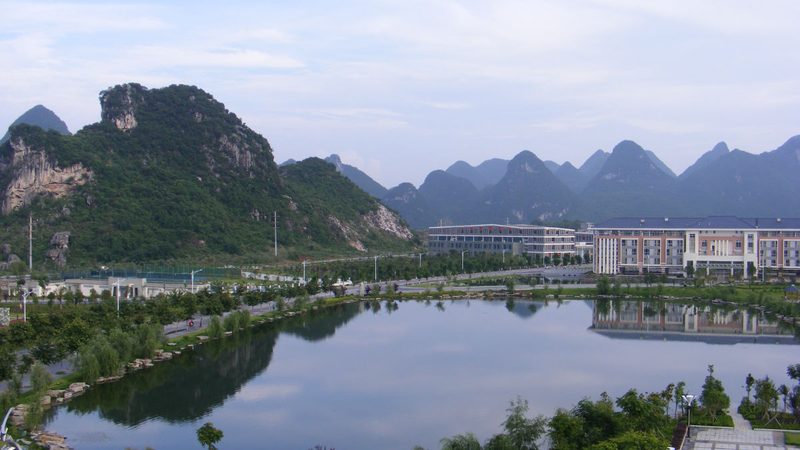 以下是几款在业界享有盛誉的进口电容品牌，供您参考：