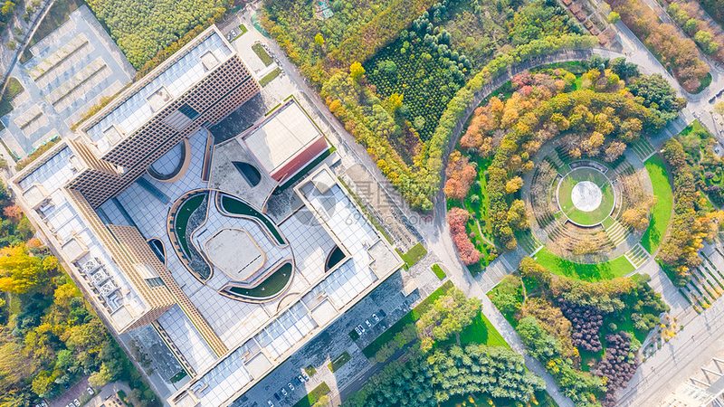 电子元件进口报关流程：关键步骤与注意事项