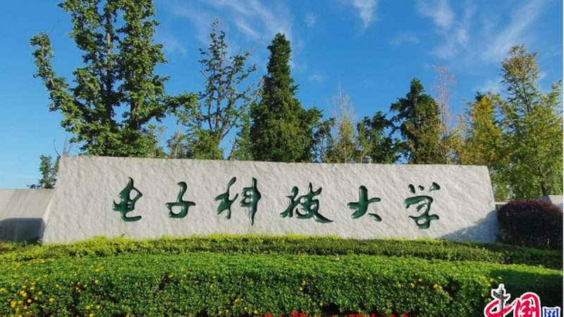 电容厂家直销：揭秘电容价格背后的秘密**