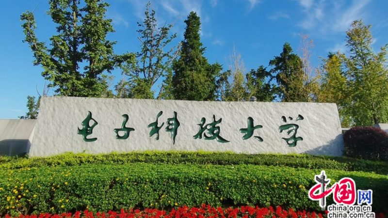 N4007二极管：揭秘其关键参数与选型要点**